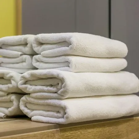 Corvin's Crib Apartament Kluż-Napoka